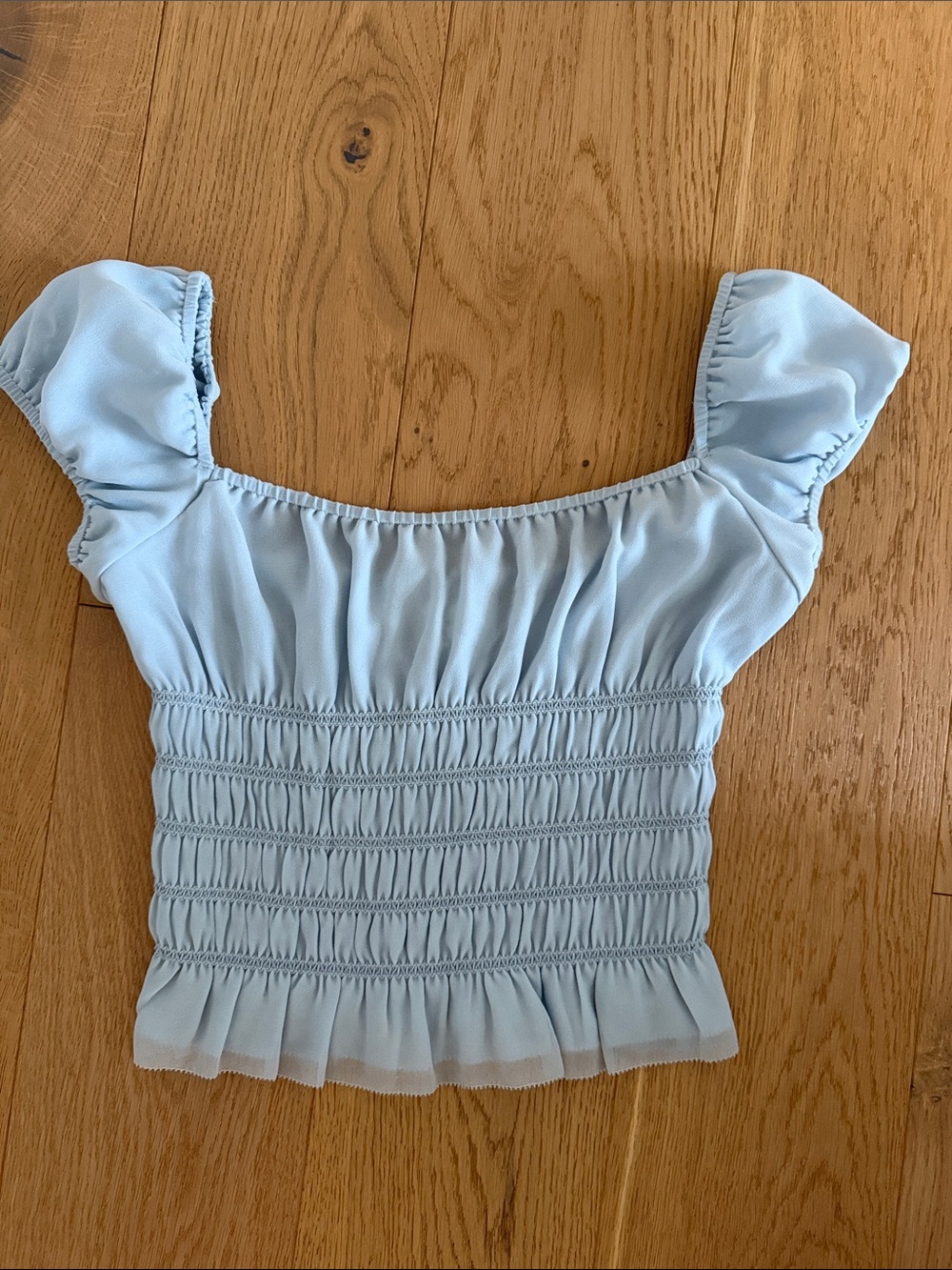 Aritzia Pale Blue Smocked Puff Sleeve Crop Top